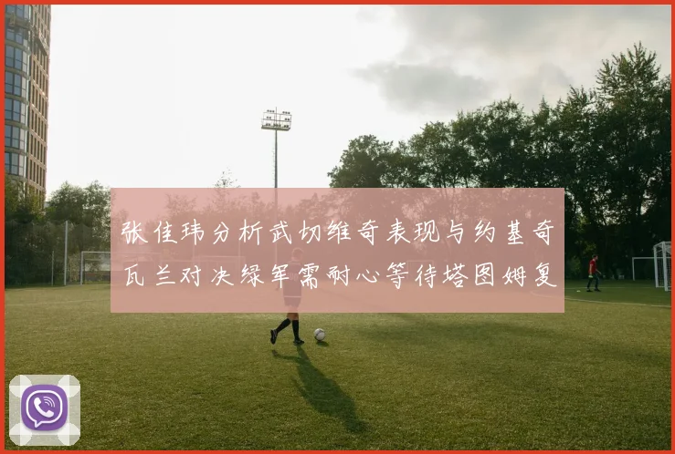 张佳玮分析武切维奇表现与约基奇瓦兰对决绿军需耐心等待塔图姆复出
