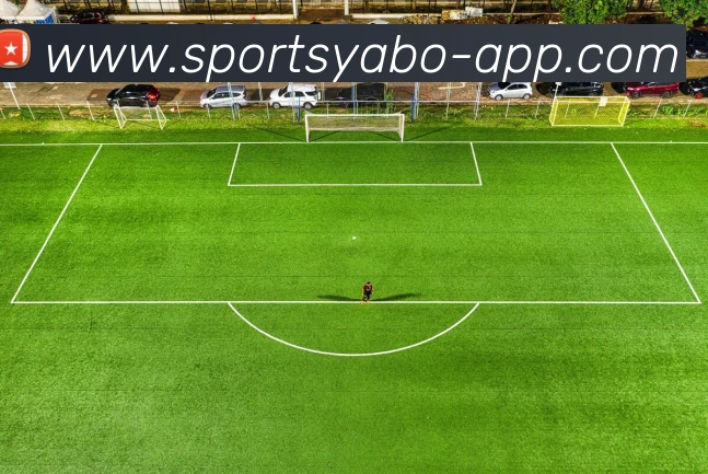 多媒体互动体验