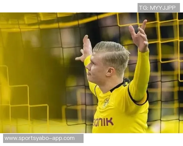 挪威年轻门将唐维克正式加盟汉堡转会费高达400万欧元 挪威年轻门将唐维克正式加盟汉堡转会费高达400万欧元